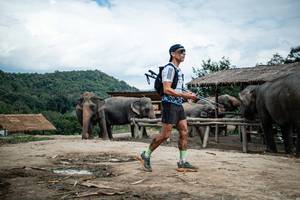 BIB: 
                            <button type="button" onclick="openModal(22424046)" class="btn btn-primary btn-sm float-right btn-popup" data-toggle="modal" data-target=".modal-high-quality">
                        <i class="fas fa-shopping-cart"></i> Add to Cart
                    </button>
                                            <button type="button" onclick="isThisMe(22424046, true)" class="btn btn-success btn-sm float-right btn-popup btn-isme hidden" data-toggle="tooltip" data-placement="bottom" title="นี่คือรูปของคุณใช่ไหม คลิกที่นี่เพื่อเอาเข้าอัลบั้ม">
                        <i class="fas fa-plus"></i> Add to album
                    </button>
                    <button type="button" onclick="isThisMe(22424046, false)" class="btn btn-warning btn-sm float-right btn-popup btn-isnotme hidden">
                        <i class="fas fa-ban"></i> Remove from album
                    </button>